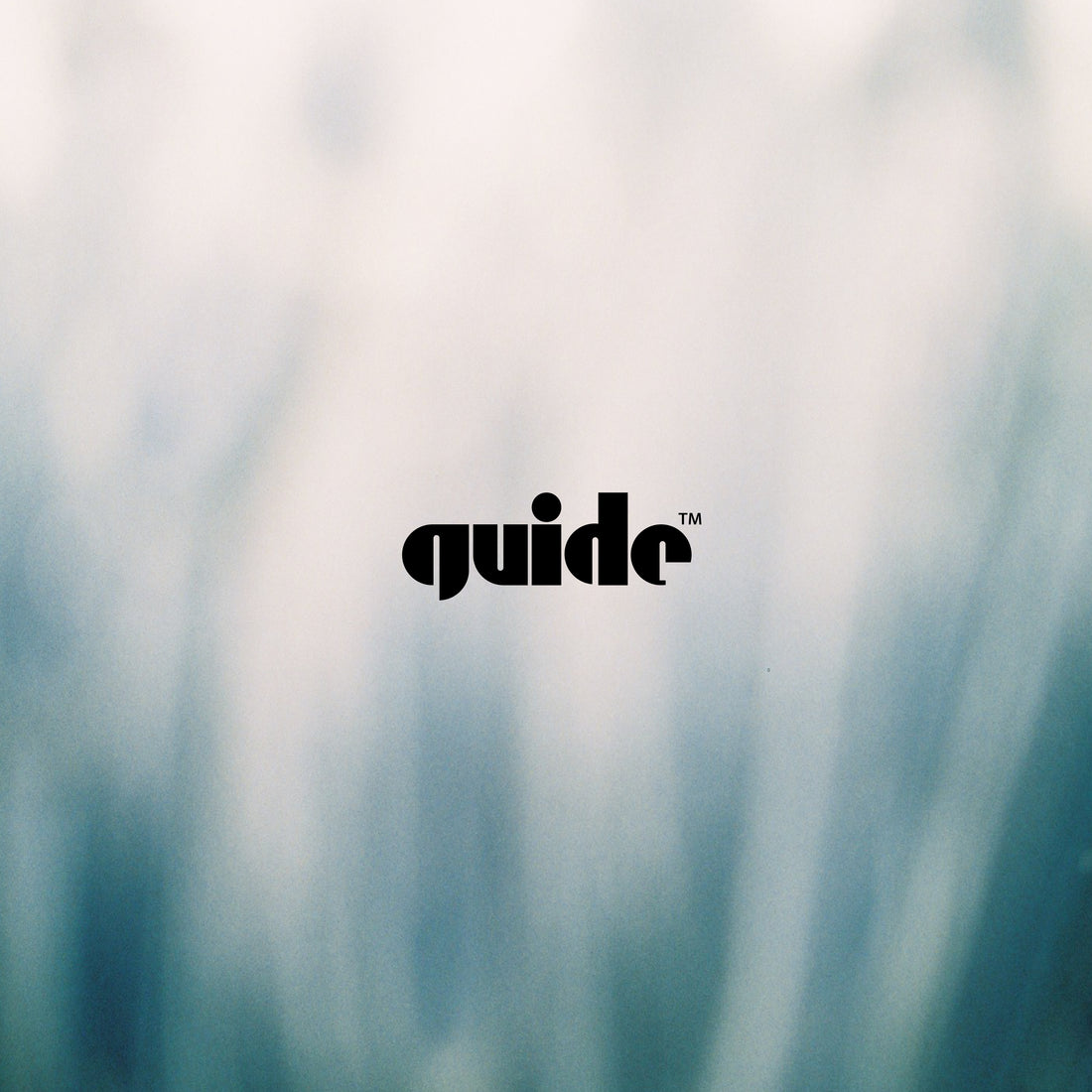 “GUIDE General Spot” Open